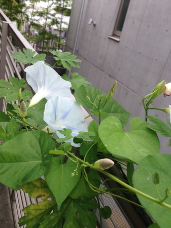 2015-09-16 12.15.20.jpg